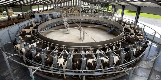 Эффективный доильный зал карусель Dairymaster