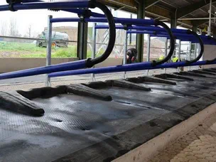 Матрасы для коров