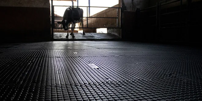 Покрытие MG Max 8