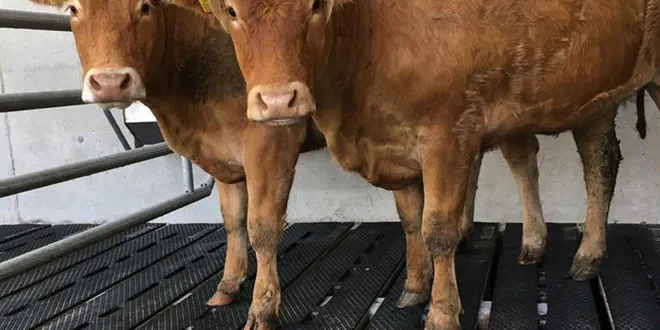 Система EASYFIX SR Slat Mat