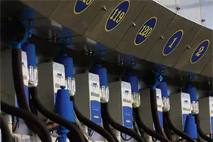 Инновационная система Milk Assist для улучшения процесса доения коз
