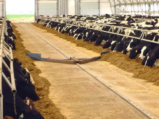 Автоматизированный подталкиватель кормов для оптимизации кормления