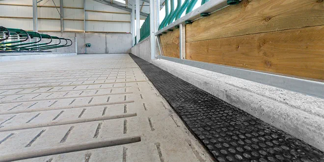 Покрытие Action