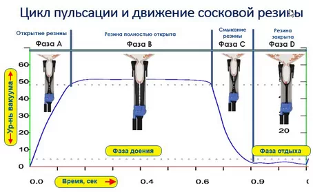 Инновационный резиновый мат Kraiburg Wingflex для комфорта коров